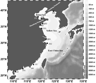 Population Genetics of Konosirus punctatus in Chinese Coastal Waters Inferred From Two mtDNA Genes (COI and Cytb)